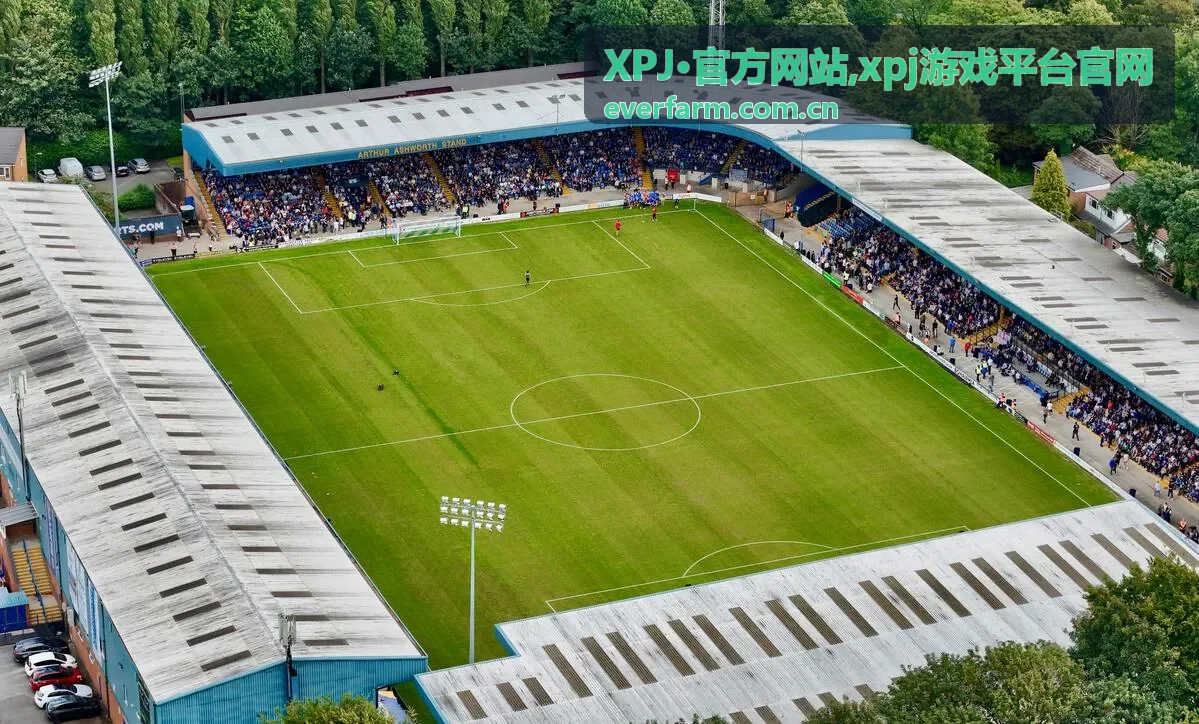 XPJ·官方网站分类导流封面